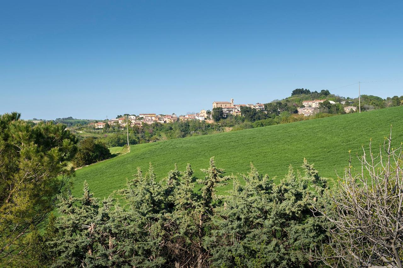 A11 - Varano, Delizioso Trilocale Con Giardino 안코나 외부 사진