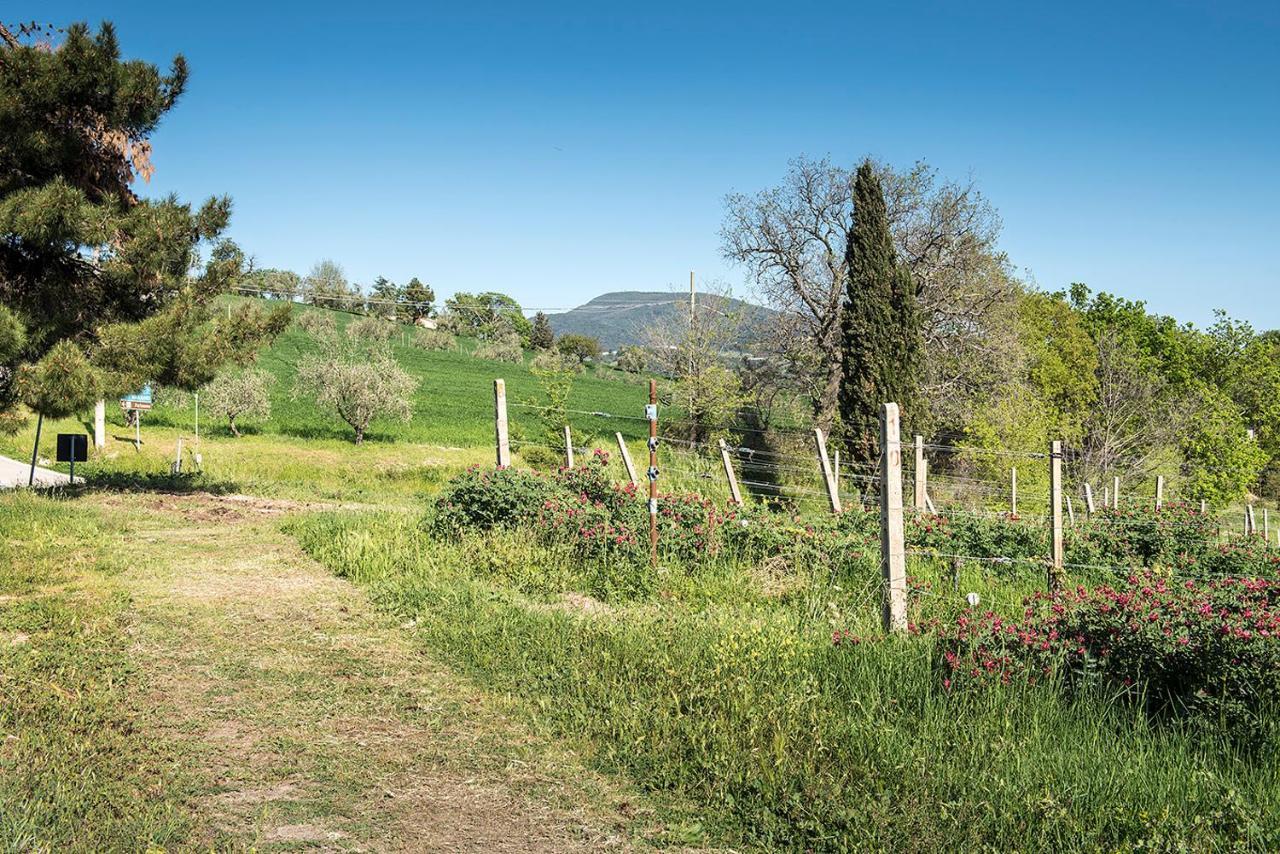 A11 - Varano, Delizioso Trilocale Con Giardino 안코나 외부 사진